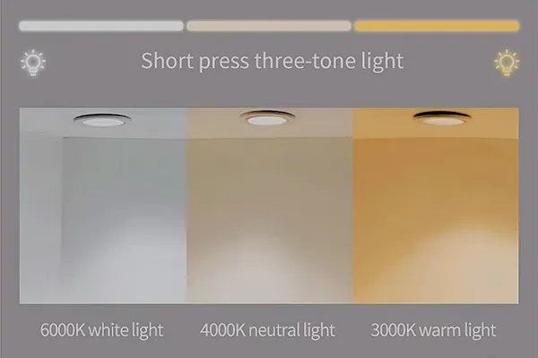 3 couleurs pour les miroirs de courtoisie